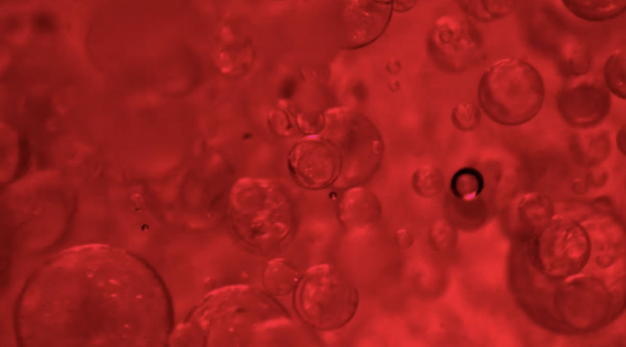 Rote Peptidstruktur in Nahaufnahme als visuelle Darstellung des Collagen Specialist Inhaltsstoffs