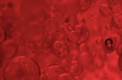 Rote Peptidstruktur in Nahaufnahme als visuelle Darstellung des Collagen Specialist Inhaltsstoffs