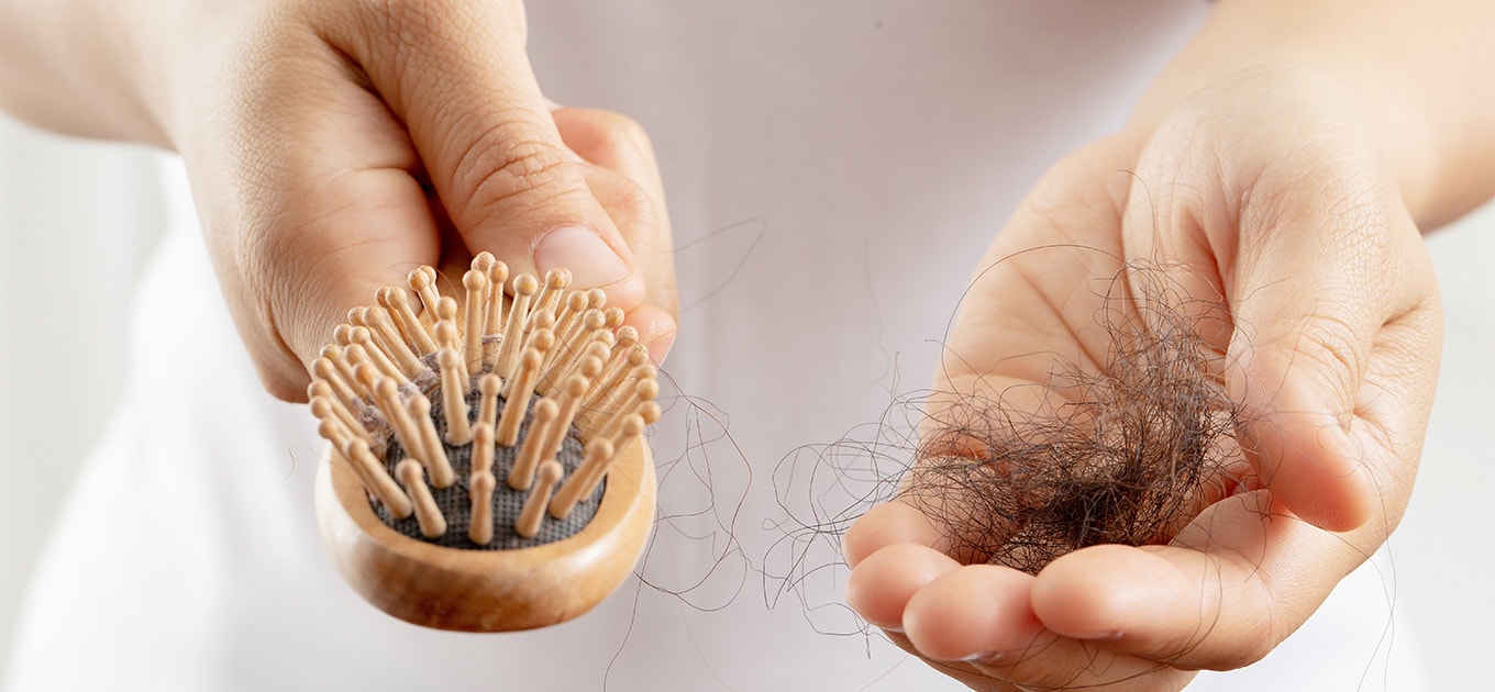 Nahaufnahme einer Haarbürste mit ausgefallenen Haaren in der Hand