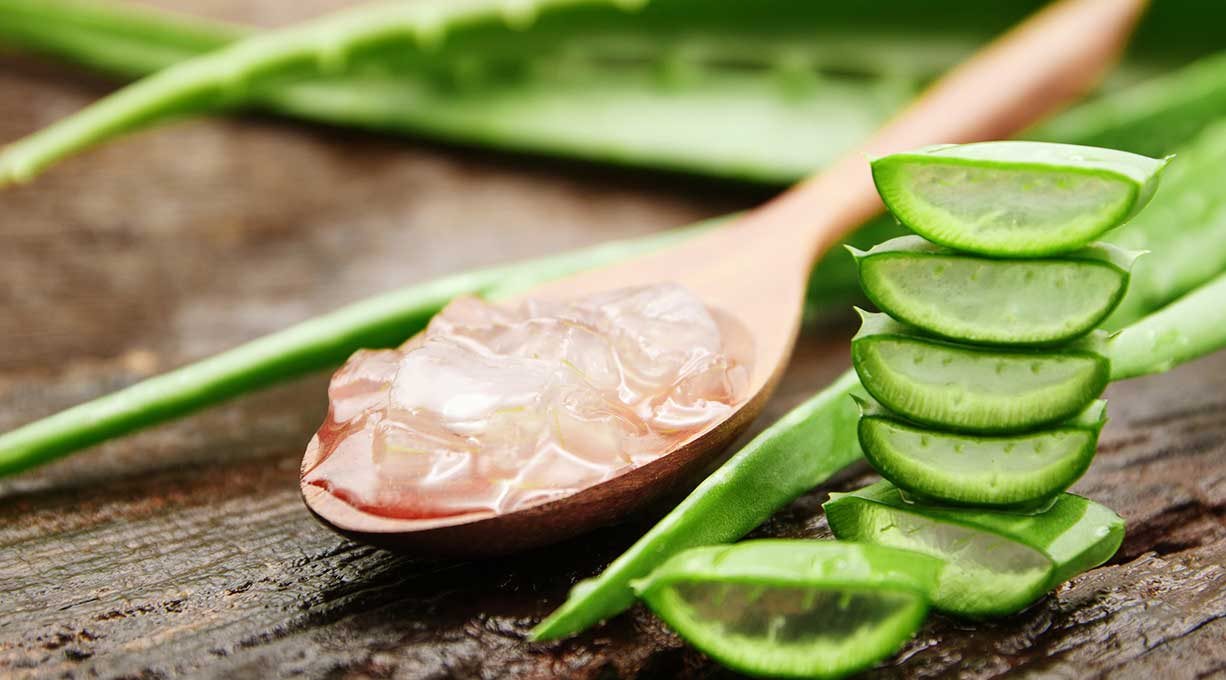 geschnittene Aloe vera Blätter und Aloe vera Gel auf einem Holzlöffel