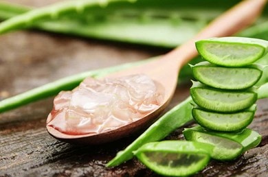 geschnittene Aloe vera Blätter und Aloe vera Gel auf einem Holzlöffel