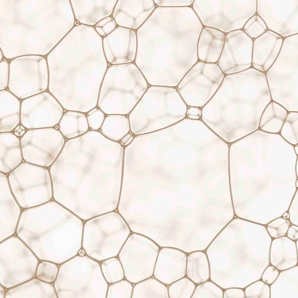 Kollagenverlust in den Wechseljahren unter dem Mikroskop dargestellt