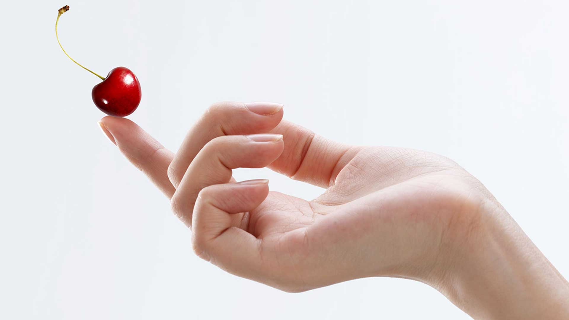 Empfohlene Lebensmittel