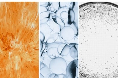 Drei abstrakte Makroaufnahmen: orange Wirbel, blaue Blasen und transparente Flüssigkeit mit kleinen Bläschen auf weißem Hintergrund.