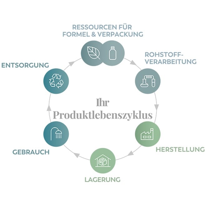 Grafik des Produktlebenszyklus mit den Phasen: Ressourcen für Formel und Verpackung, Rohstoffverarbeitung, Herstellung, Lagerung, Gebrauch und Entsorgung, dargestellt in einem Kreislauf.