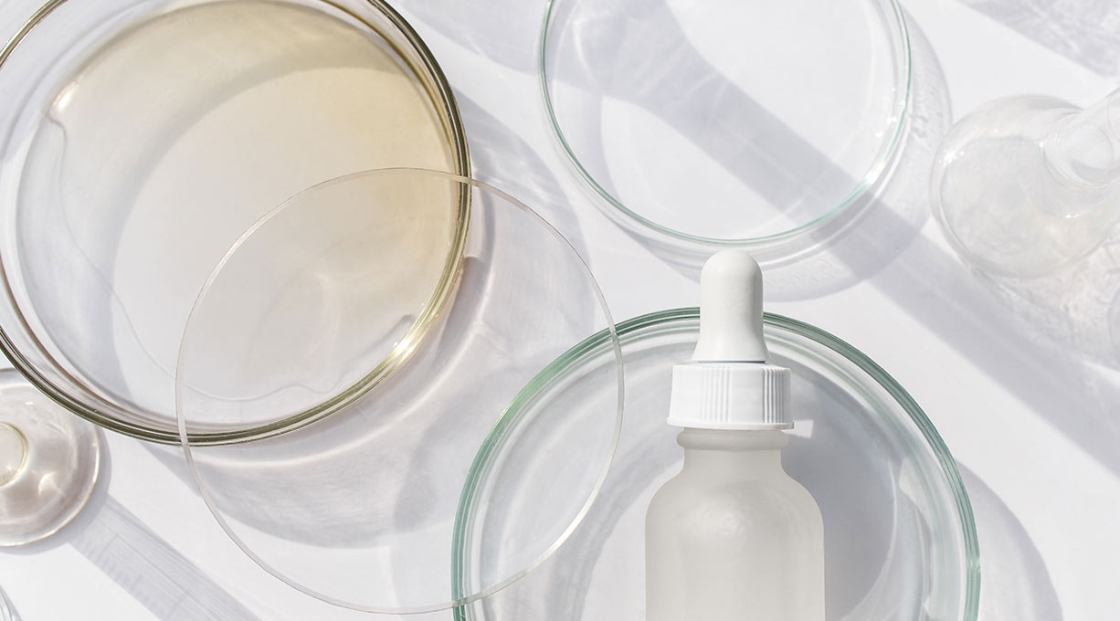 Weltweites Engagement zum Tierschutz